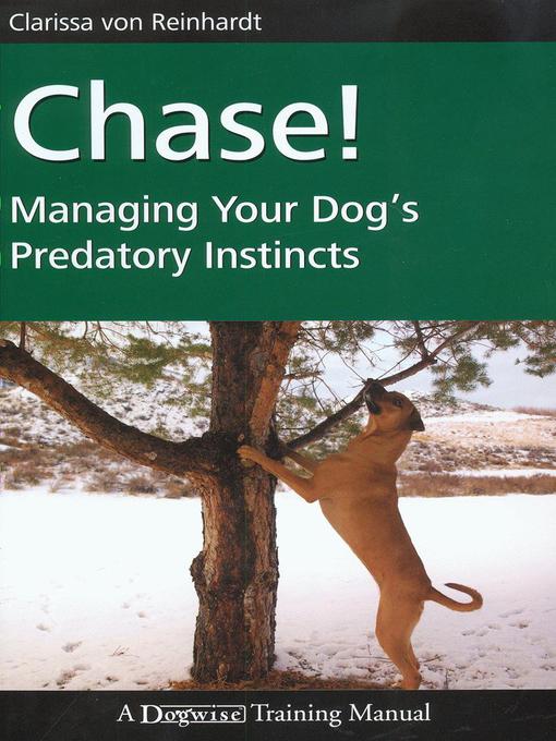 Cover image for Chase!